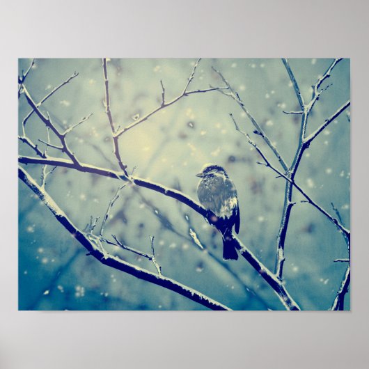 雪に覆われた枝の雀 ポスター (正面)