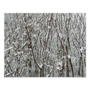 雪に覆われた枝冬の抽象芸術 フォトプリント