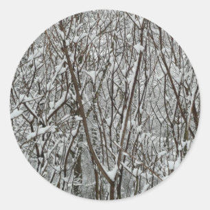 雪に覆われた枝冬の抽象芸術 ラウンドシール
