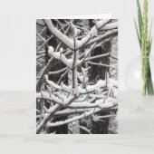 雪に覆われた枝 カード (正面)