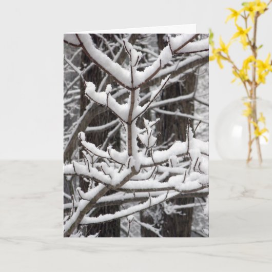 雪に覆われた枝 カード (黄色い花)