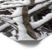 雪に覆われた枝 ポスター (角)