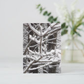 雪に覆われた枝 ポストカード (スタンド正面)