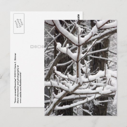 雪に覆われた枝 ポストカード (正面/裏面)