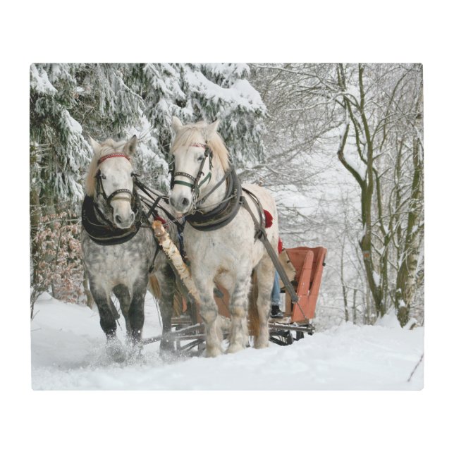 雪に覆われた森の中でスリーに乗る メタルプリント (正面)