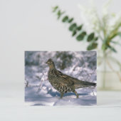 雪に覆われた森の中に立っている人毛の生い茂り ポストカード (スタンド正面)