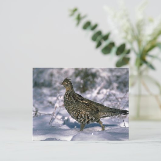 雪に覆われた森の中に立っている人毛の生い茂り ポストカード (スタンド正面)