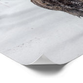 雪に覆われた牛のバイソン ポスター (角)