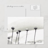 雪に覆われた花 ポストカード (正面/裏面)