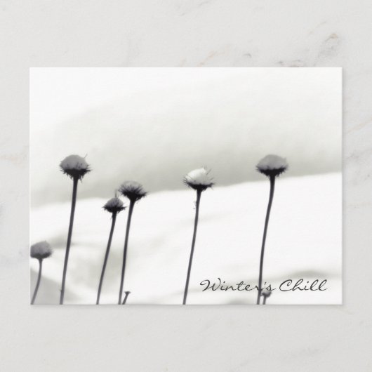 雪に覆われた花 ポストカード (正面)