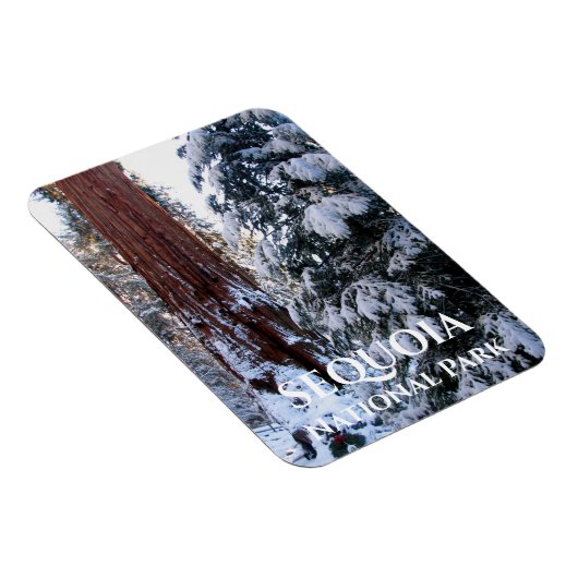 雪に覆われた雪の冬のセコイア国立公園 マグネット (右側)