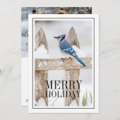 雪に覆われた青いジェイ シーズンカード (正面/裏面)