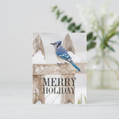 雪に覆われた青いジェイ シーズンポストカード (スタンド正面)