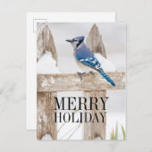 雪に覆われた青いジェイ シーズンポストカード (正面/裏面)