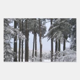 雪に覆われた青松 –  長方形シール