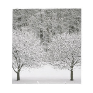 雪に覆われた風景 ノートパッド
