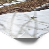 雪に覆われた鹿 フォトプリント            (角)