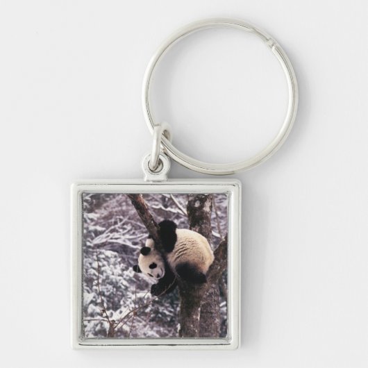 雪に覆わ遊れた木の上のパンダの仔 キーホルダー (正面)
