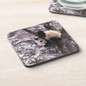 雪に覆わ遊れた木の上のパンダの仔 コースター (左側)