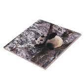 雪に覆わ遊れた木の上のパンダの仔 タイル (側面)