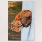 雪に赤いキツネ |ユーコン ジグソーパズル (縦)