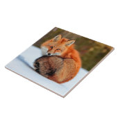 雪に赤いキツネ |ユーコン タイル (側面)