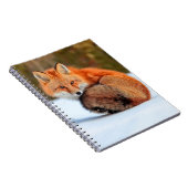 雪に赤いキツネ |ユーコン ノートブック (右側)