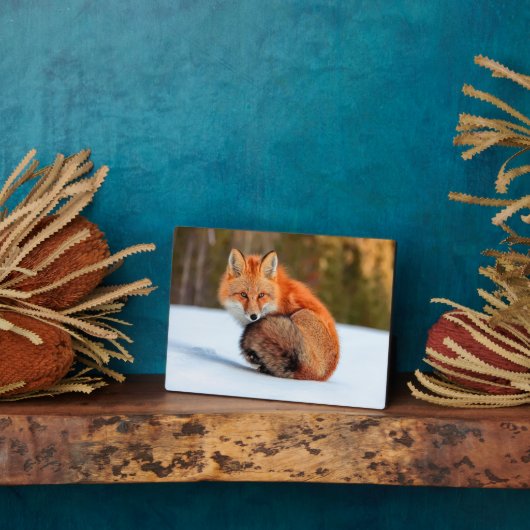 雪に赤いキツネ |ユーコン フォトプラーク (側面)