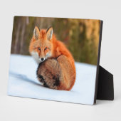 雪に赤いキツネ |ユーコン フォトプラーク (側面)