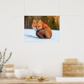 雪に赤いキツネ |ユーコン ポスター (キッチン)