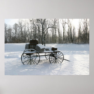 雪に閉じ込められる ポスター