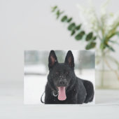 雪に黒いドイツの羊飼い ポストカード (スタンド正面)