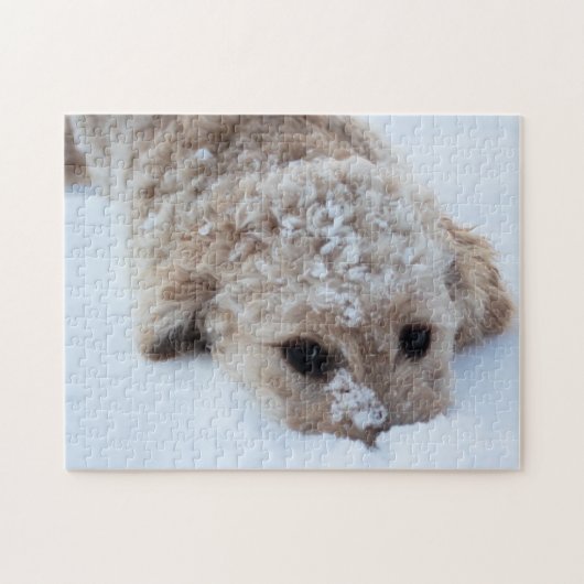 雪に鼻を付けたゴルデンドール ジグソーパズル (横)