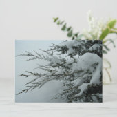 雪のある冬結婚の常緑樹 招待状 (スタンド正面)