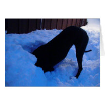 雪のおもしろい