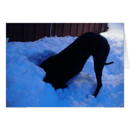 雪のおもしろい