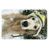 雪のかわいい帽子をかぶったゴールデンレトリバー犬 マグネット (横)