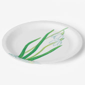 雪のしずく（ガランサス・ニワリス） ペーパープレート (アングル)