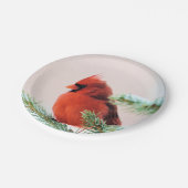 雪のちらばる松の木のカーディナル ペーパープレート (アングル)