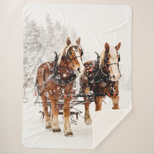雪のばん馬 シェルパブランケット (正面)