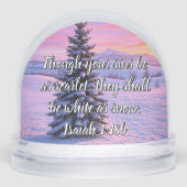 雪のように白 –  (正面)