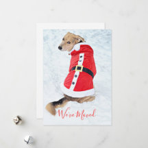 雪のように赤いサンタスーツを着た、かわいいクリスマスドッグを動かす