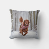 雪のアイリッシュセッター クッション (正面)