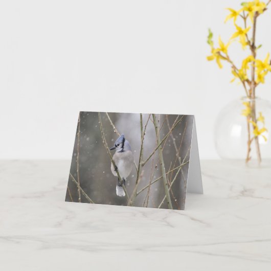 雪のアオカケス カード (黄色い花)