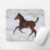 雪のアラビアの子馬 マウスパッド (マウス)