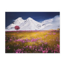 雪のアルプスはがき