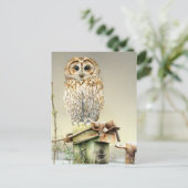 雪のアートの水の色の素晴らしポストカードにタウニーフクロウ ポストカード (スタンド正面)