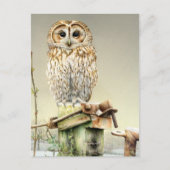 雪のアートの水の色の素晴らしポストカードにタウニーフクロウ ポストカード (正面)