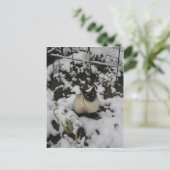 雪のイメージ雪の猫 ポストカード (スタンド正面)