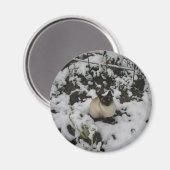 雪のイメージ雪の猫 マグネット (正面/裏面)